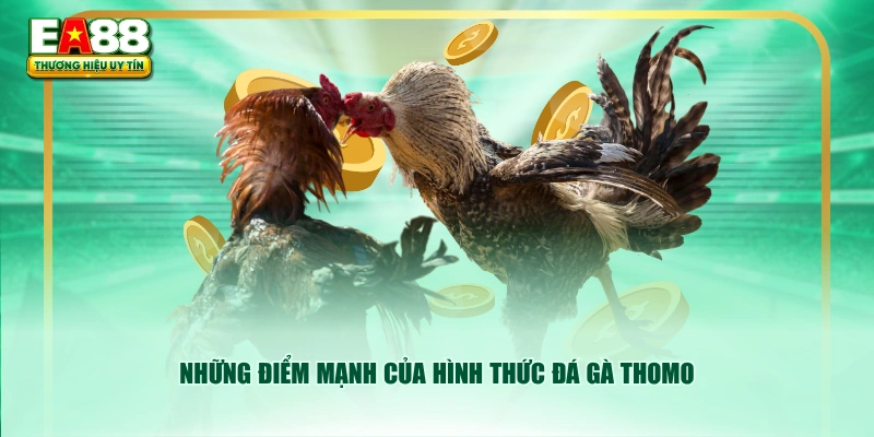 Những điểm mạnh của hình thức đá gà Thomo